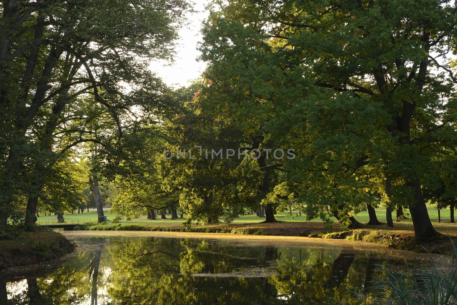 Summer in public park.