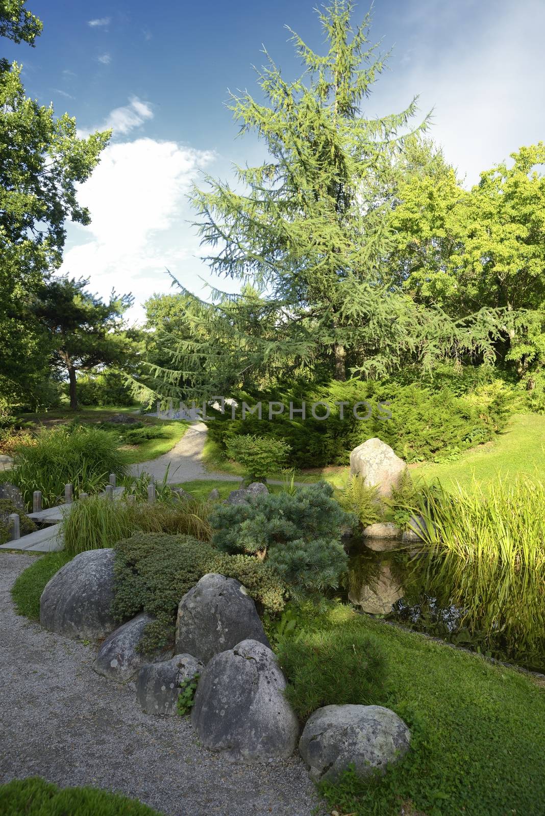 Japanese Garden with no people in Bergianska Botanical Garden. Bergianska Botanical Garden is a public garden located in Frescati next to Brunnsviken, at Norra Djurgården in Stockholm - Sweden.