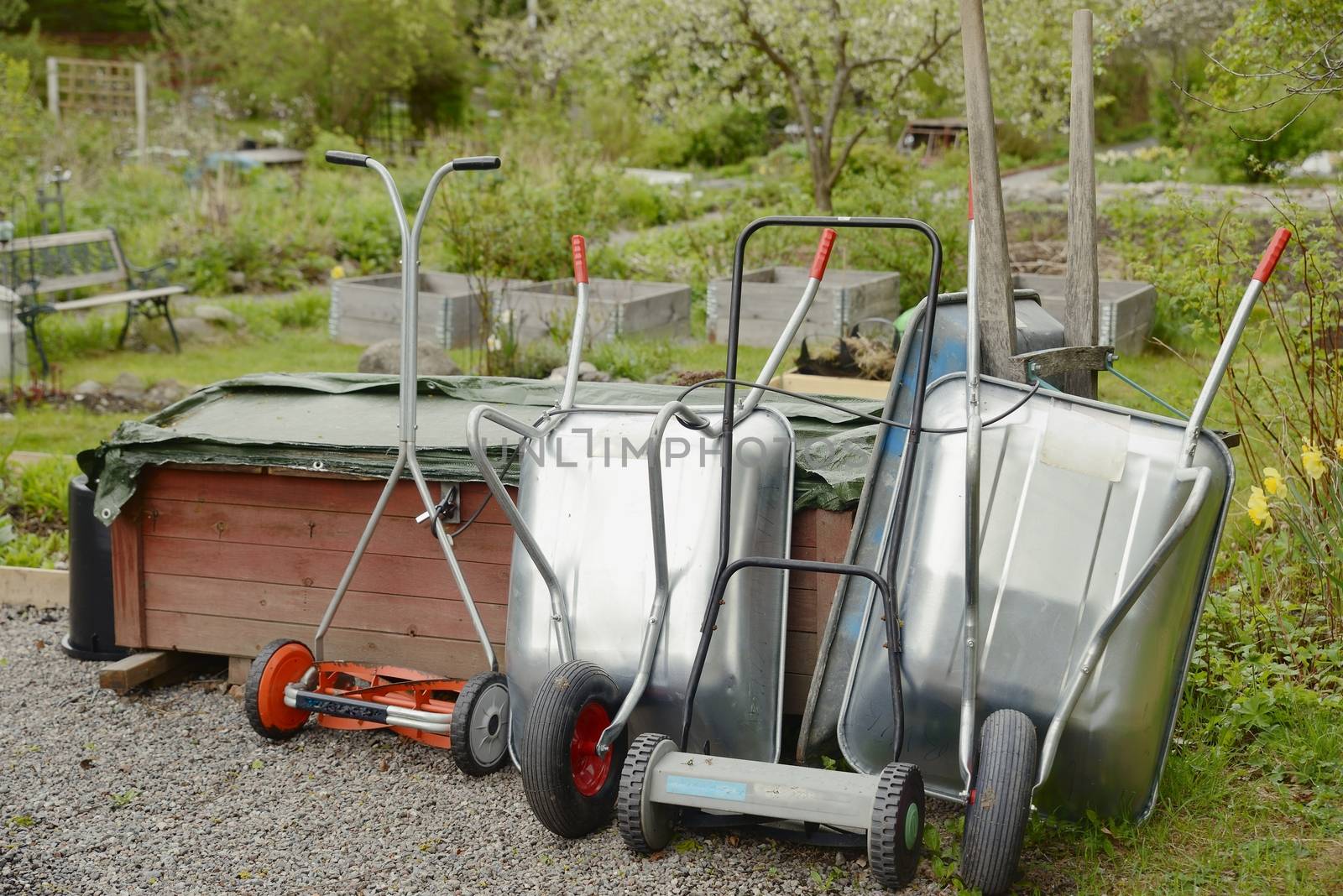 Organic Gardening on the Allotment by a40757