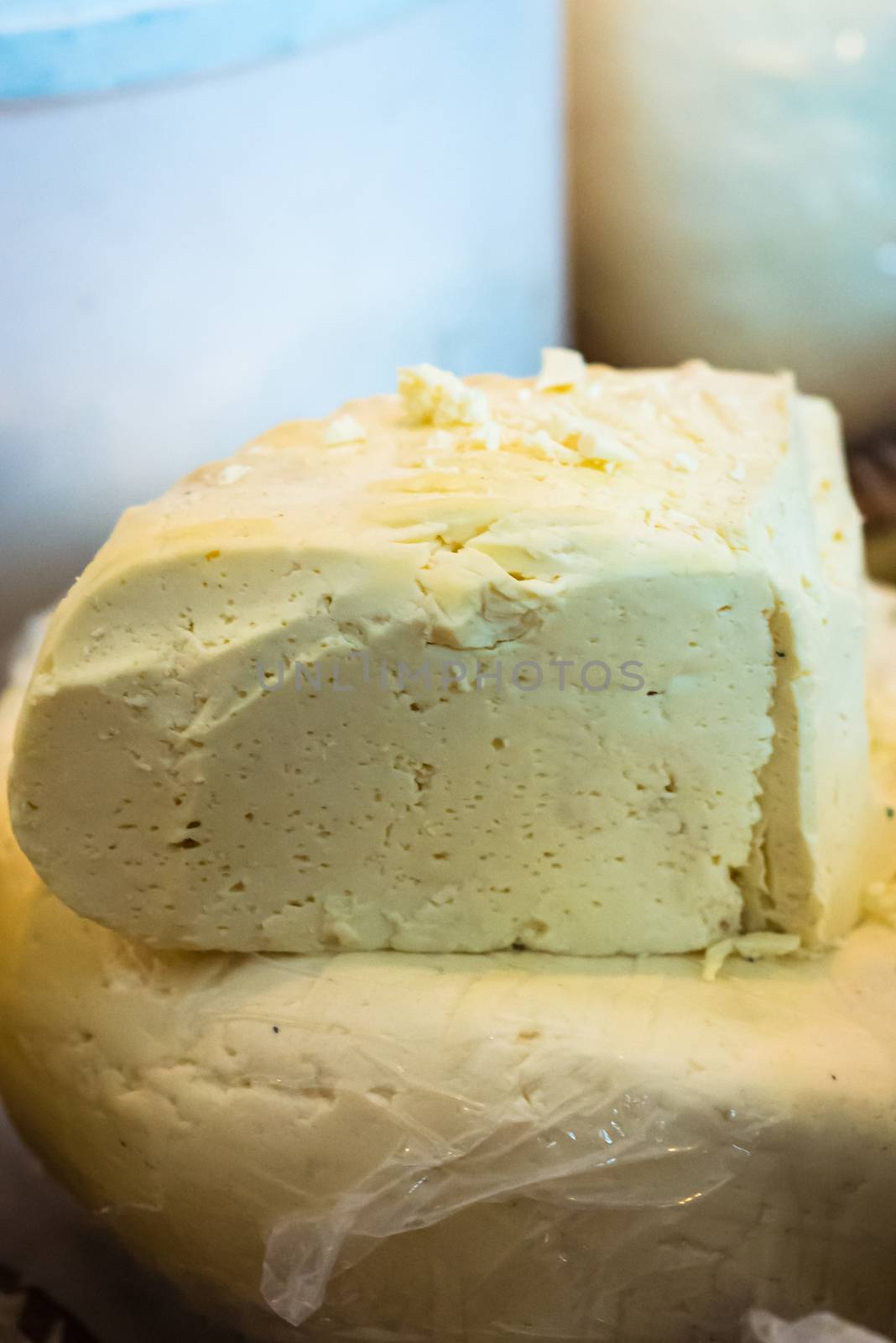 piece of delicious fresh white cheese at the exhibition
