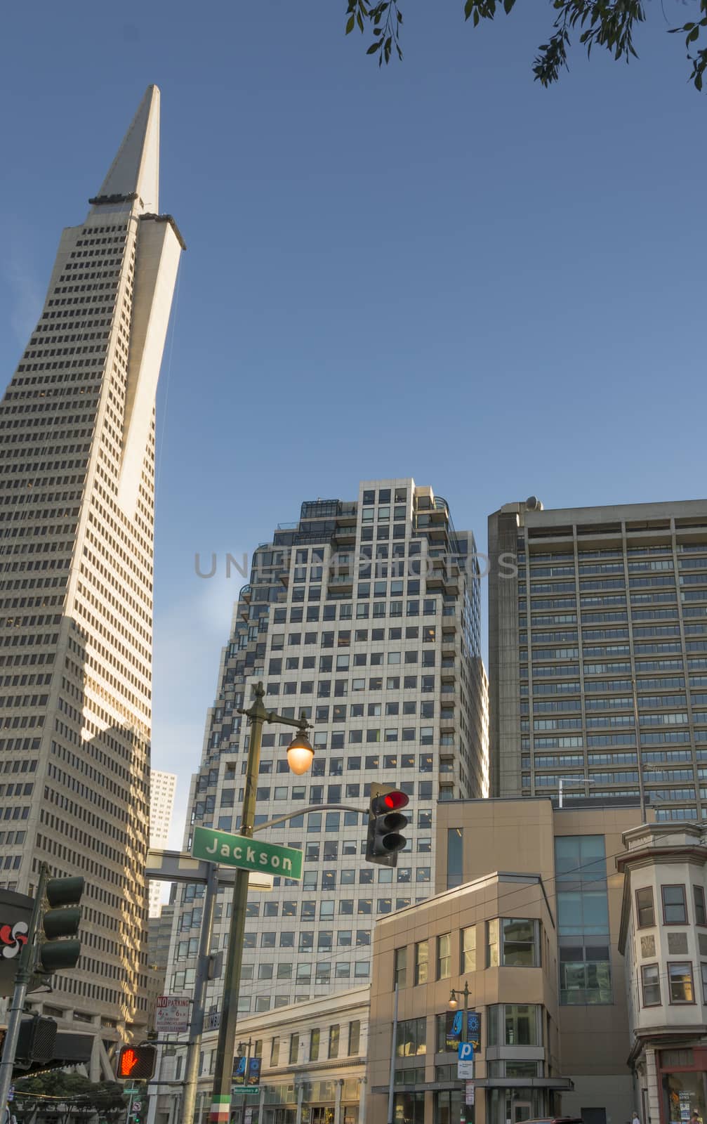 San Francisco, CA, USA, october 23, 2016: Urban view of San Francisco with Jackson street and the transamerica pyramid
