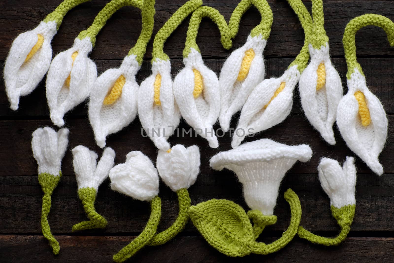  knitted green leaf and white flower background by xuanhuongho