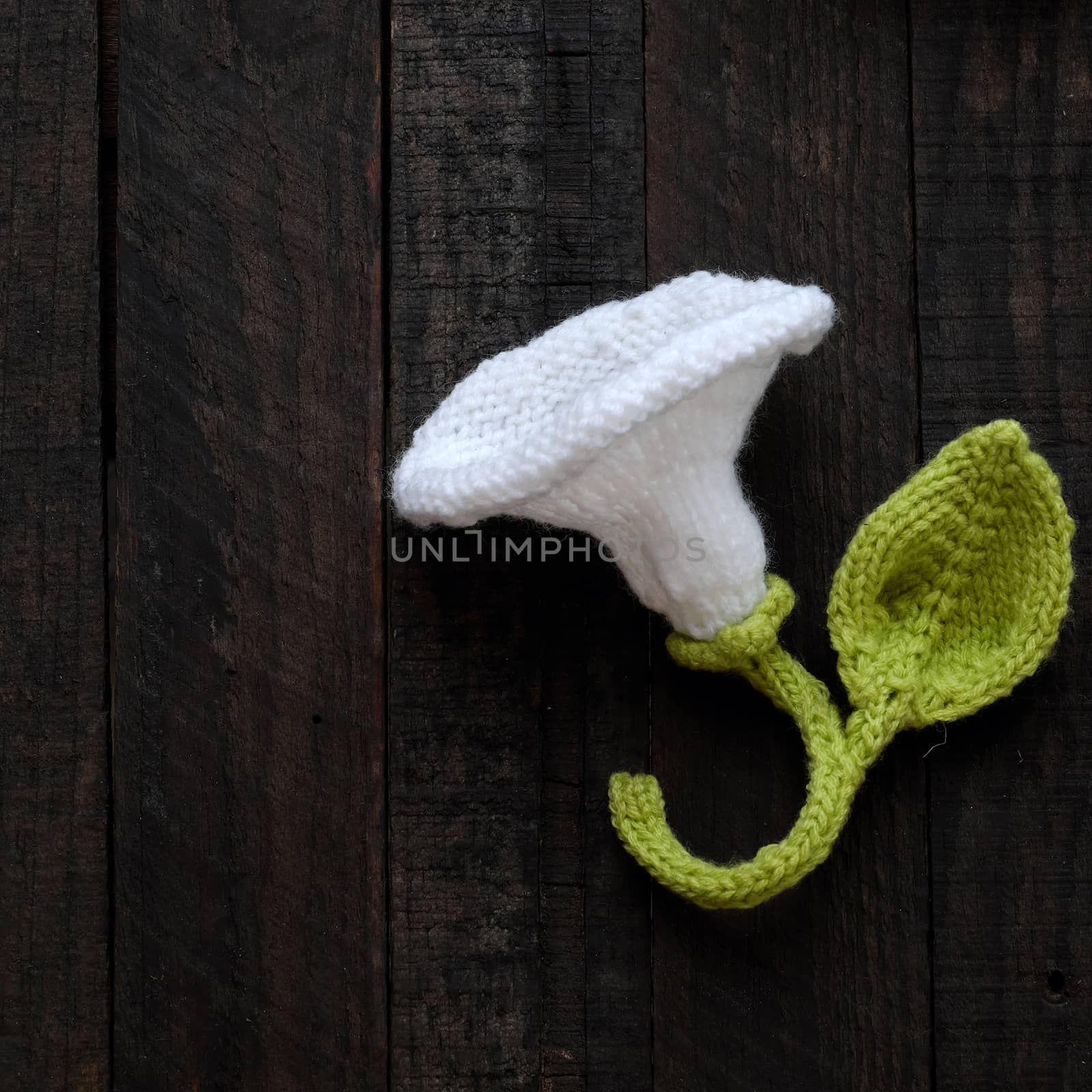 Amazing green background with handmade product, knitted flower as arum lily, tulip, morning glory flower knit from white yarn and green leaf make wonderful background for design