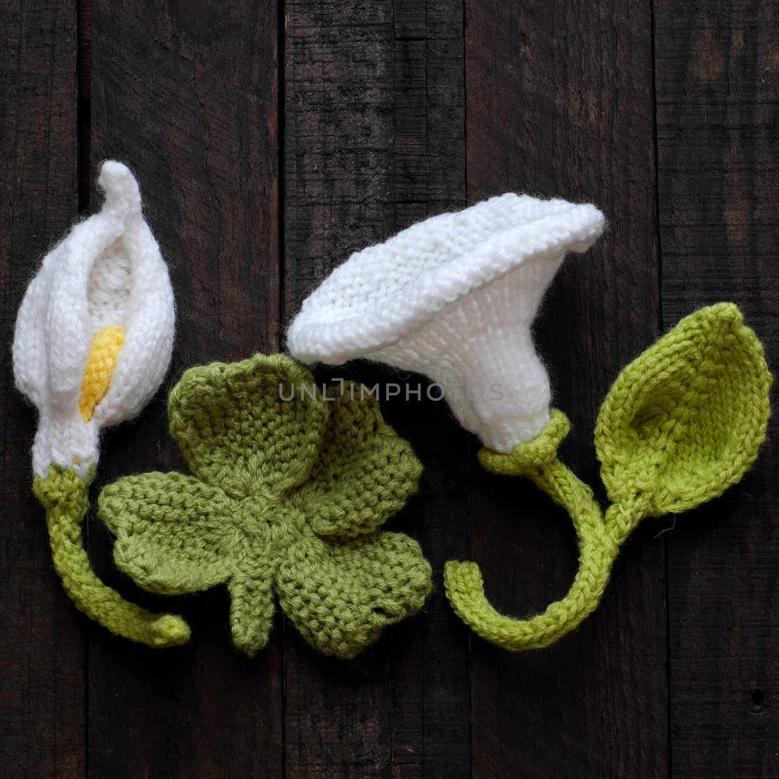 Amazing green background with handmade product, knitted flower as arum lily, tulip, morning glory flower knit from white yarn and green leaf make wonderful background for design