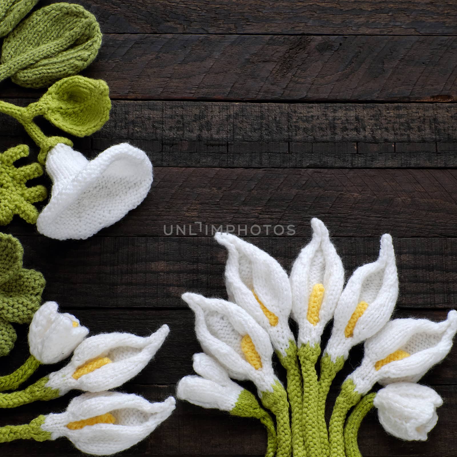  knitted green leaf and white flower background by xuanhuongho