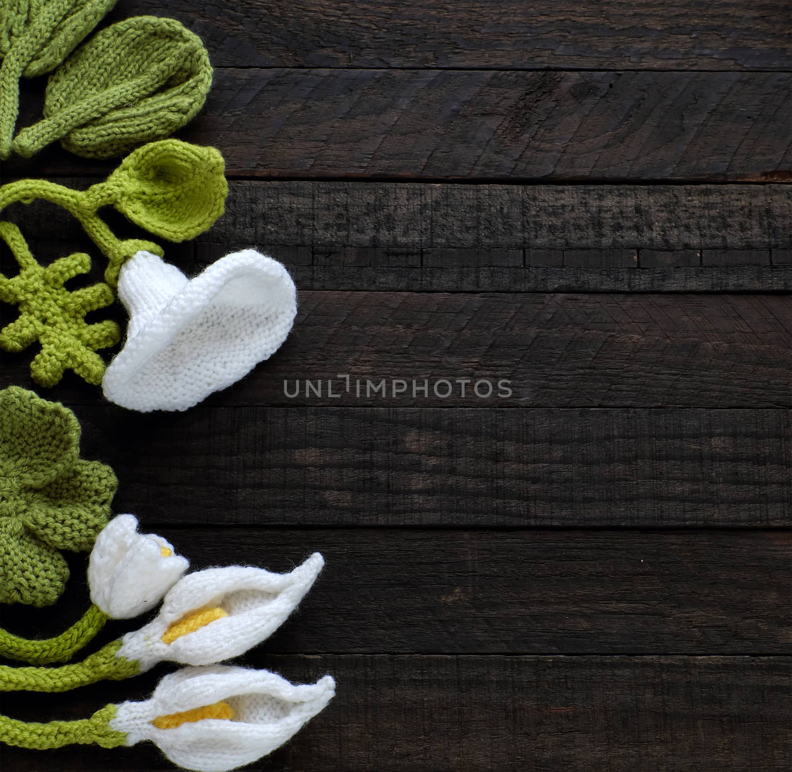 Amazing green background with handmade product, knitted flower as arum lily, tulip, morning glory flower knit from white yarn and green leaf make wonderful background for design