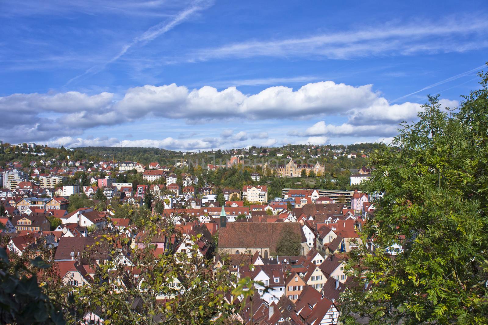Tübingen, Germany, Europe by giannakisphoto