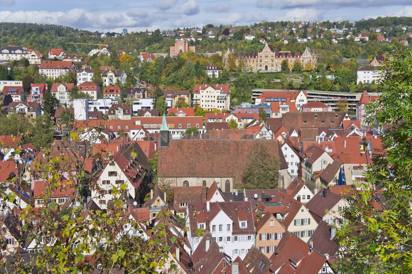 Tübingen, Germany, Europe by giannakisphoto