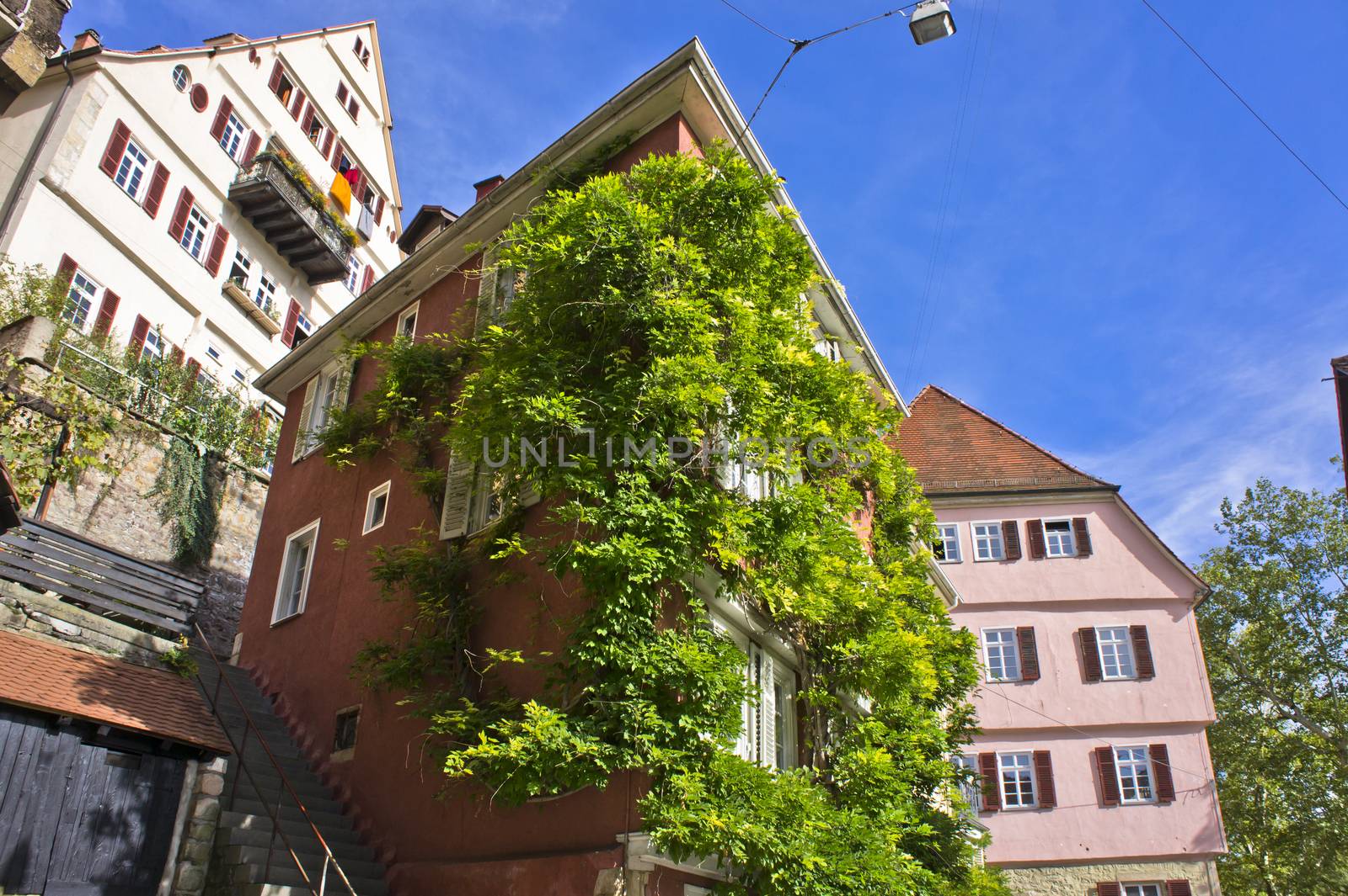 Tübingen, Germany, Europe by giannakisphoto