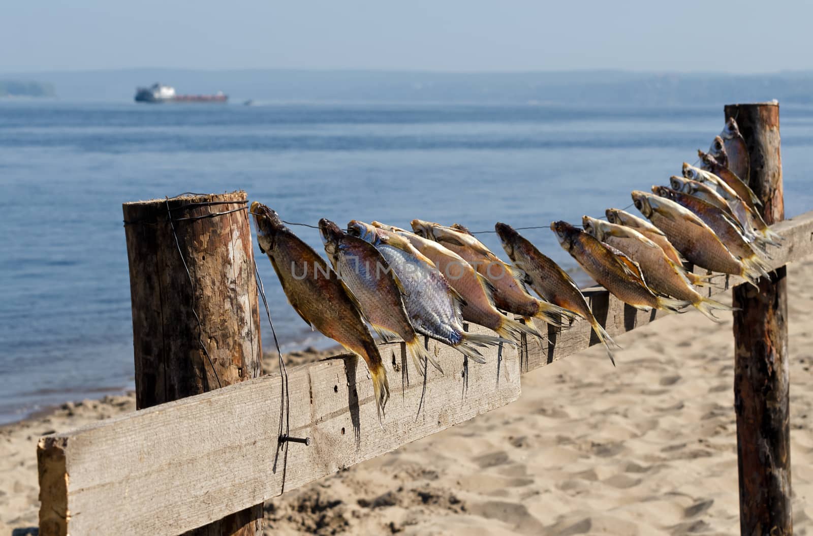 Dried fish on the banks of the river, blue water and yellow sand. Barge in the distance. Selective focus.