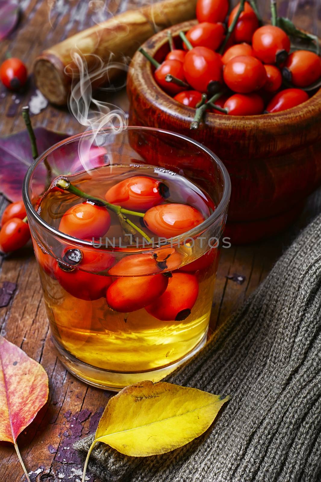 medical tea with ripe berries of the autumn rose