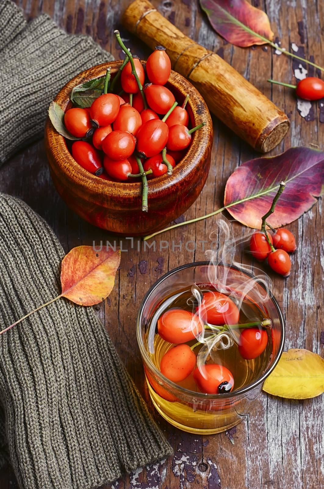 medical tea with ripe berries of the autumn rose