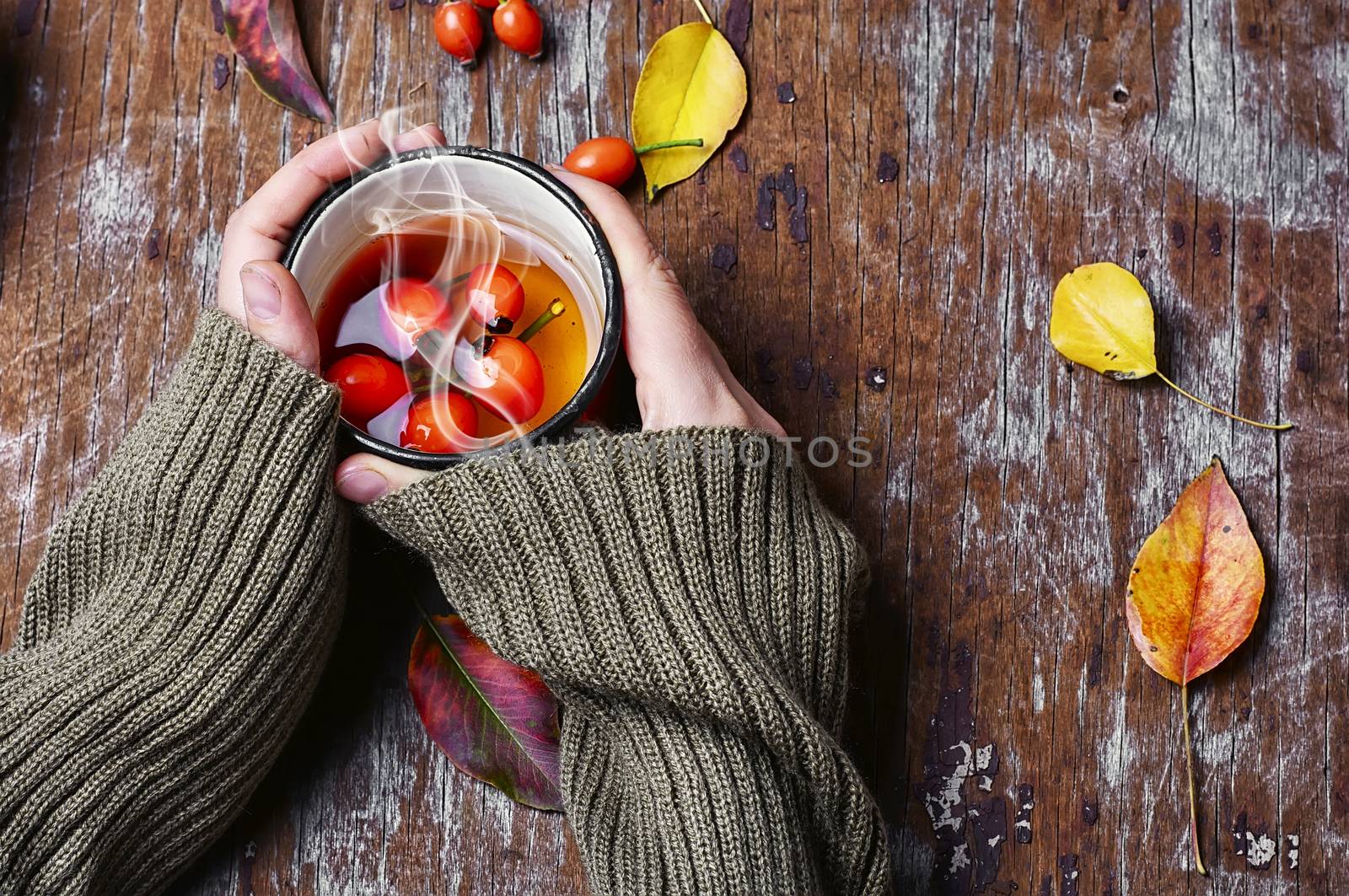 medicinal tea from the berries of the autumn rose in the hands