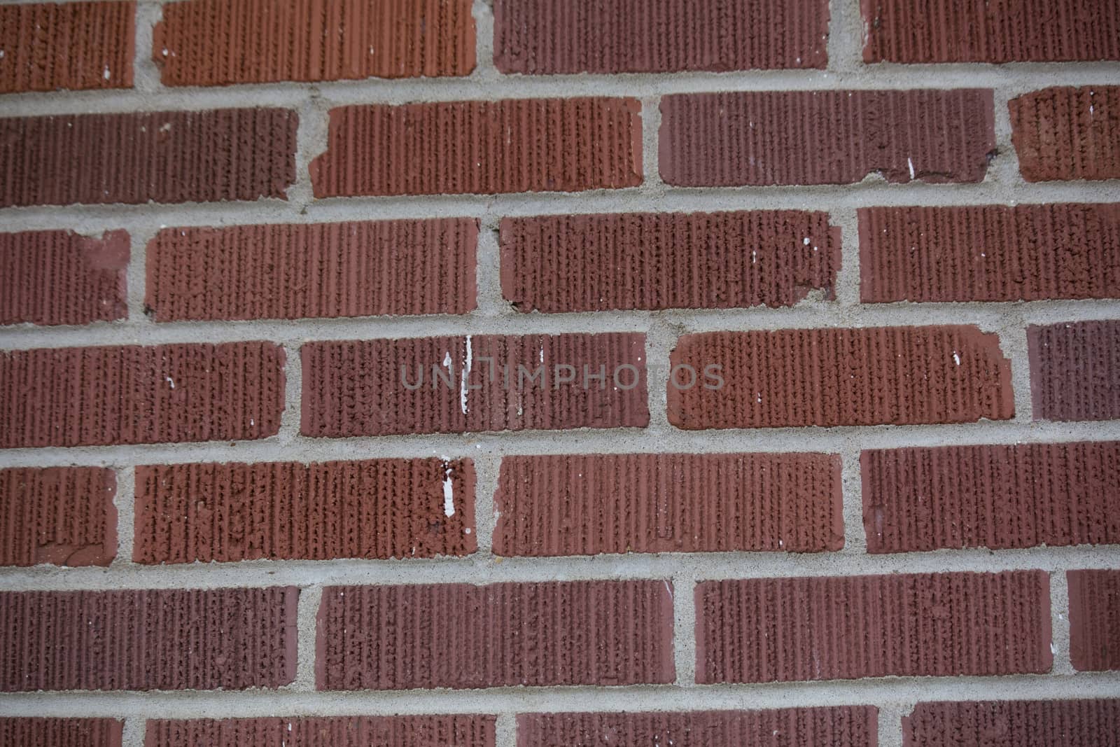 Close-up of dark red brick wall