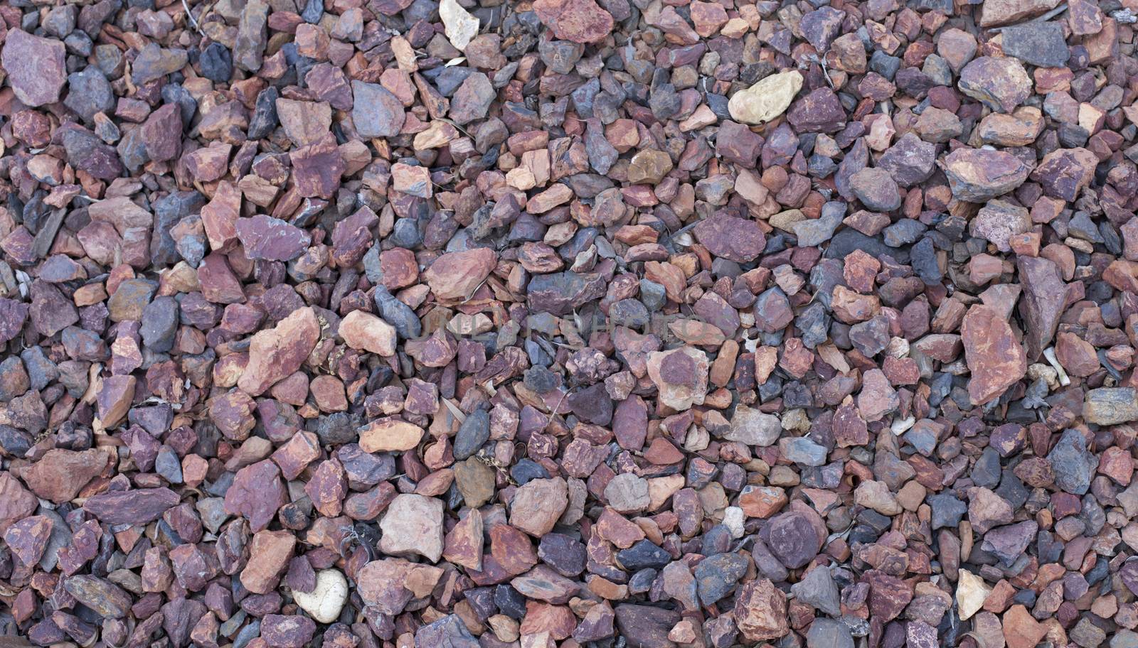 Close-up of parking lot rocks