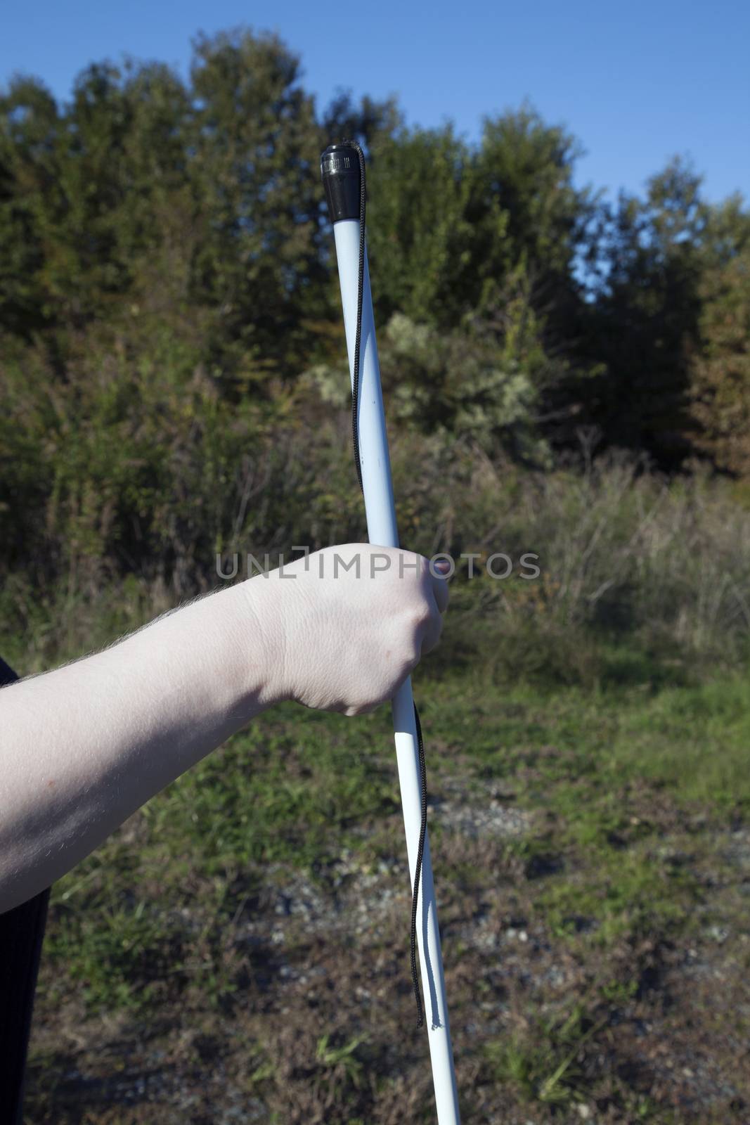 Person holding walking cane in nature