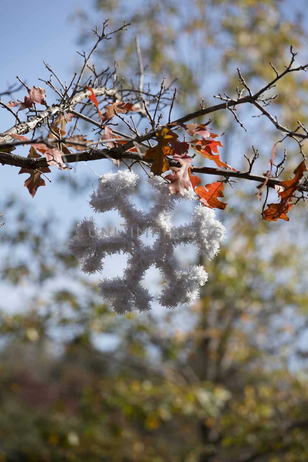 Christmas snowflake decoration hanging from a tree outdoors