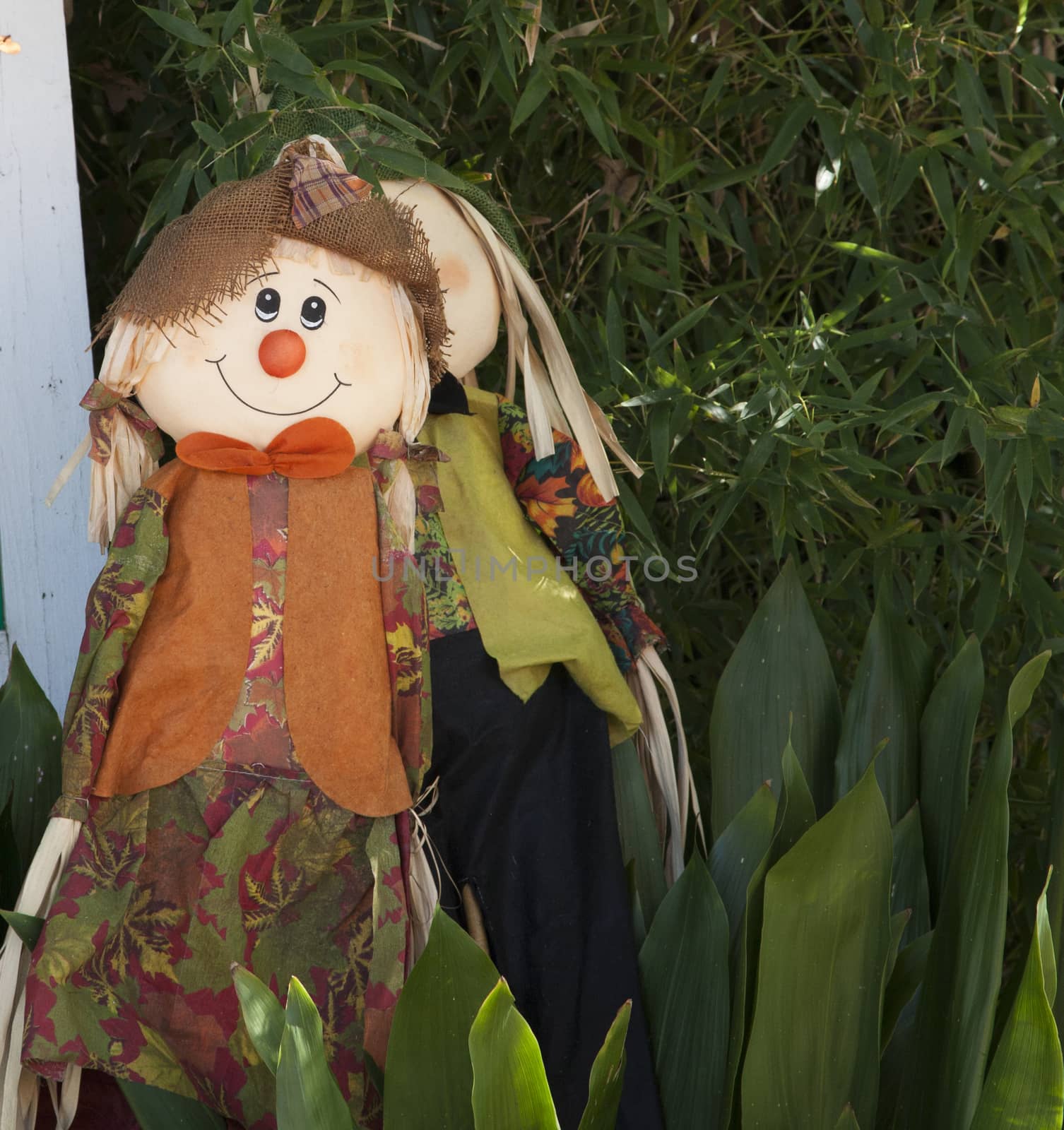 Brightly colored scarecrow hidden near green plants