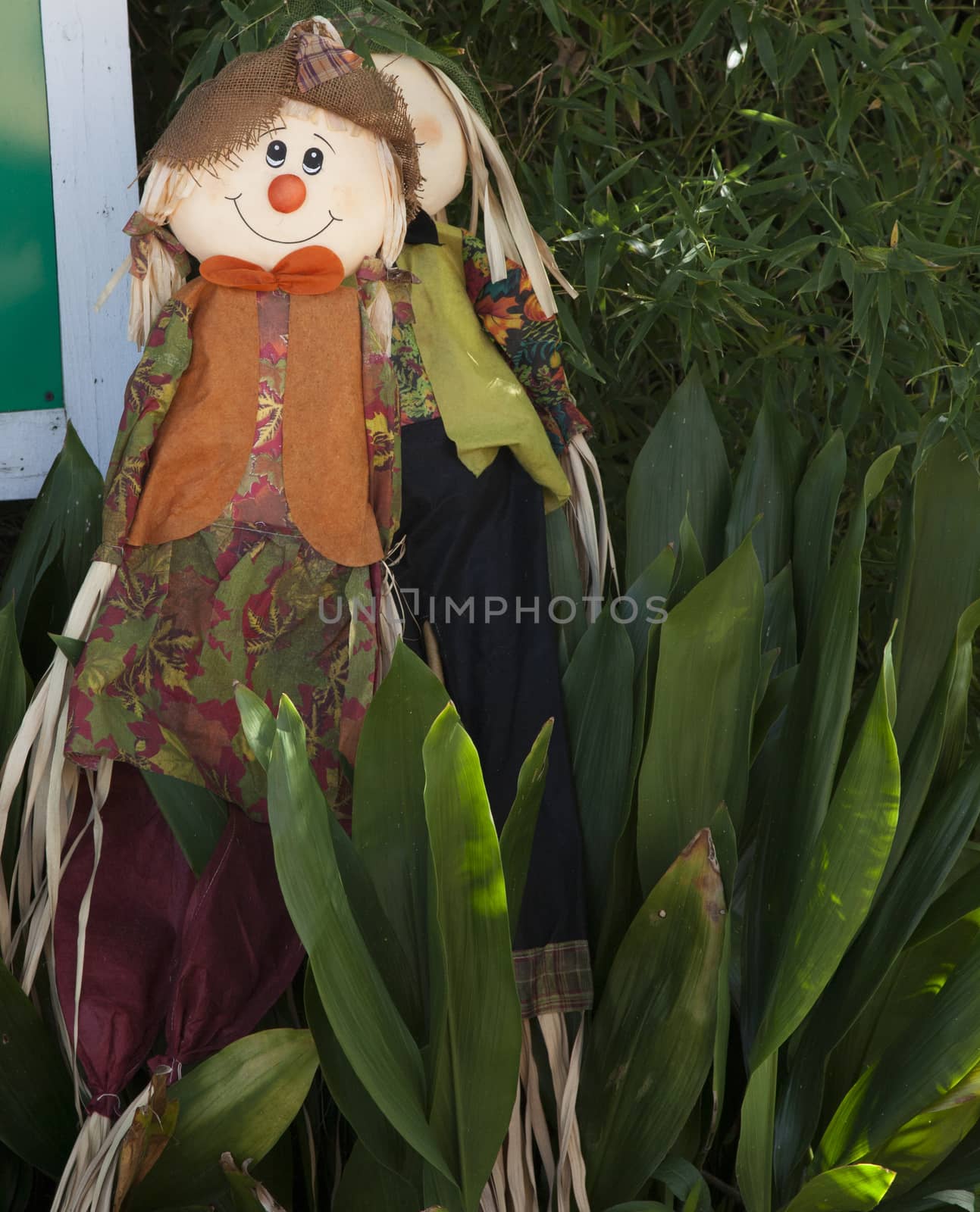 Brightly colored scarecrow hidden near green plants