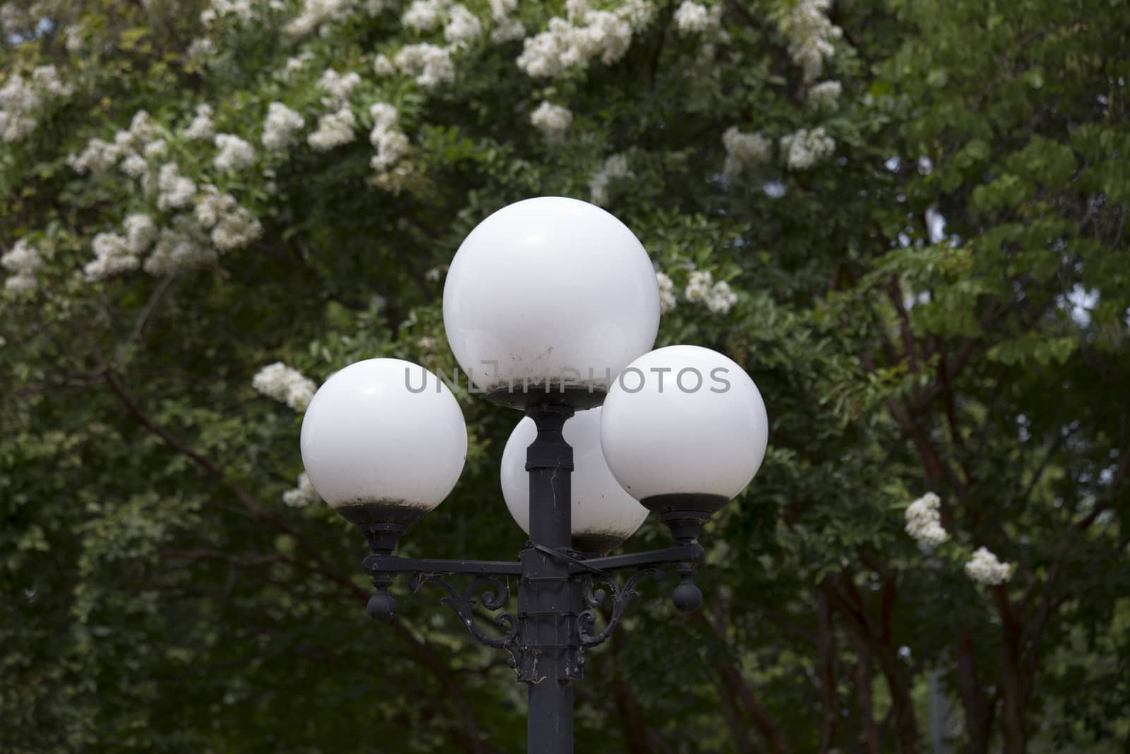 Antique street lamp with three globes