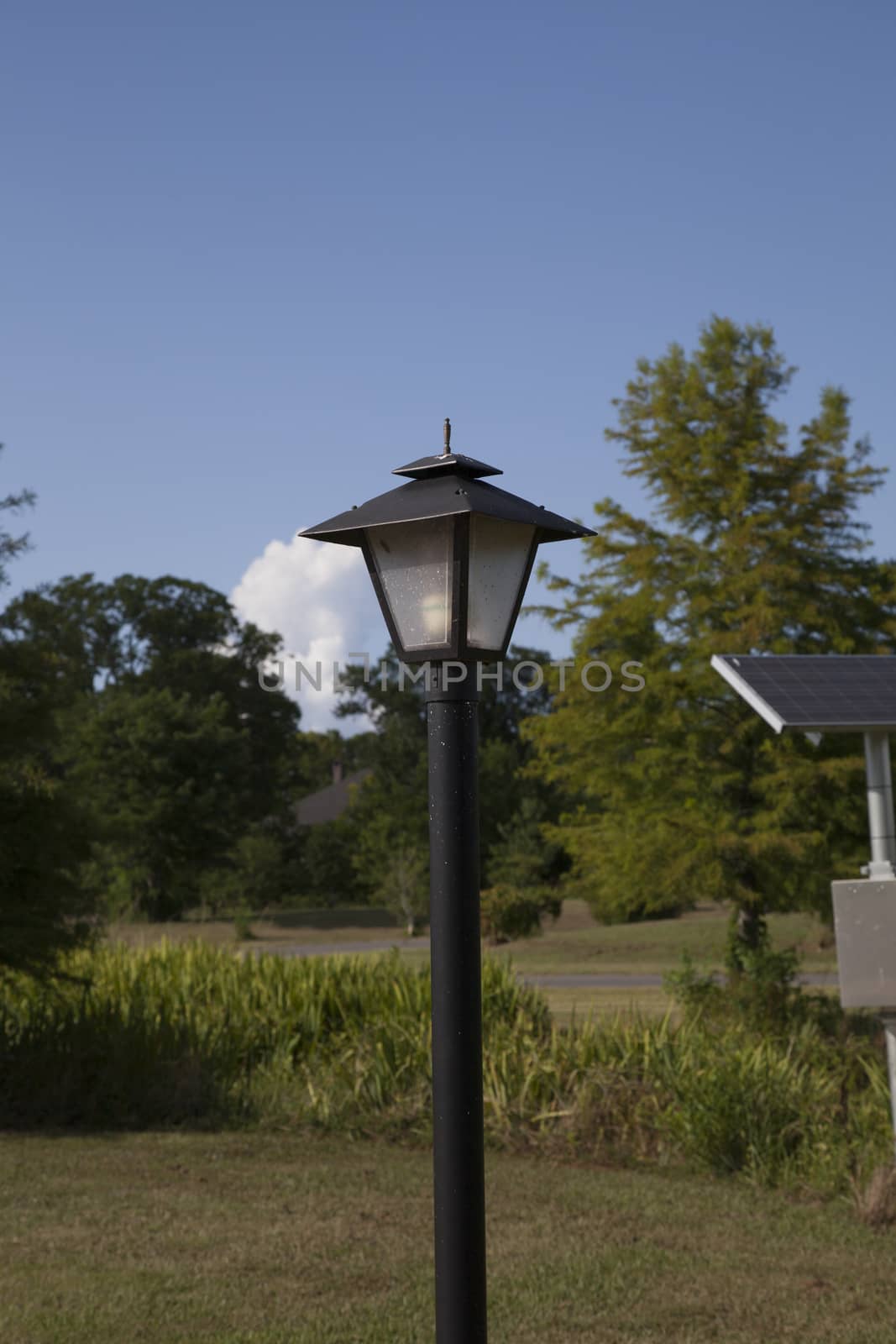 Lamp by tornado98