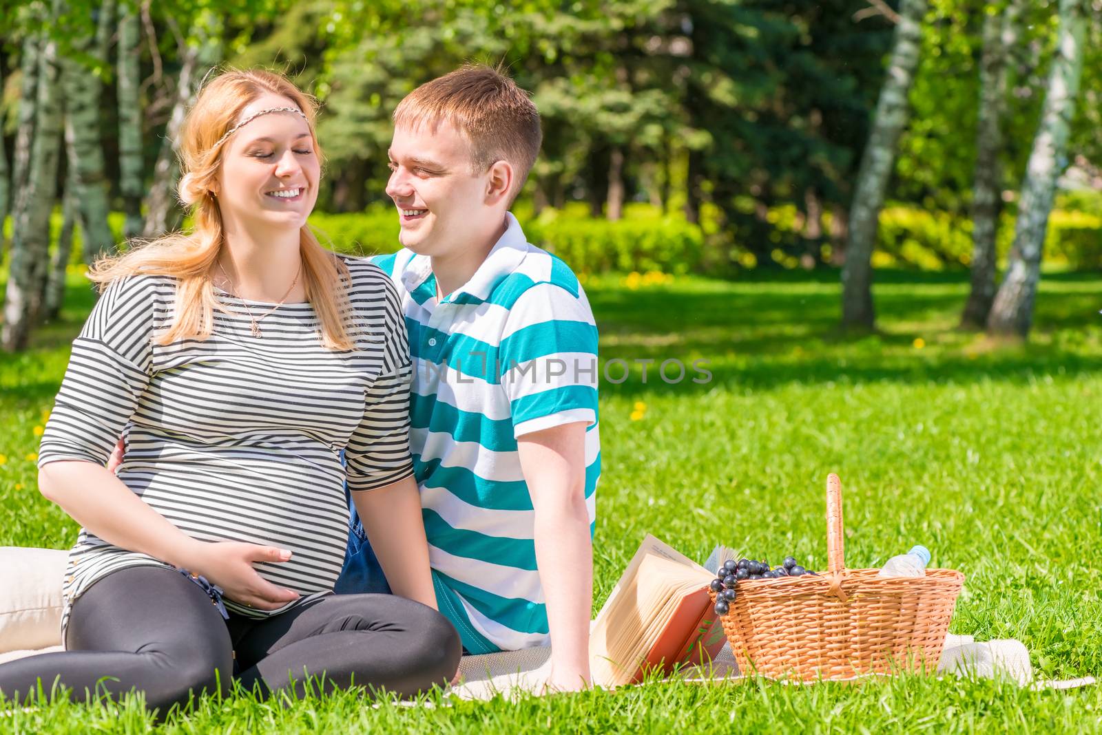 European family at a picnic in the park, woman is pregnant
