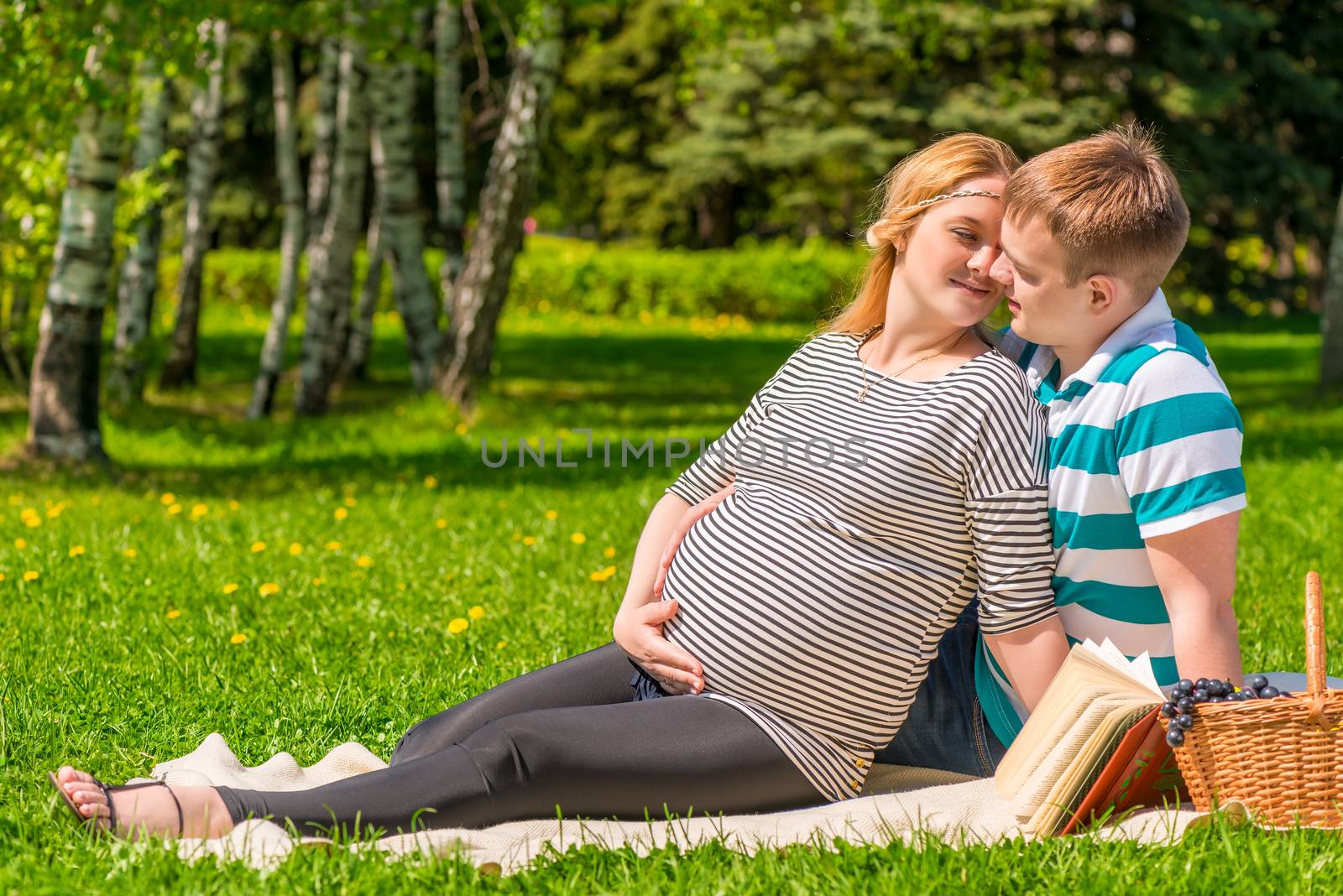 People who love each other are waiting for a baby, a picnic in the summer park