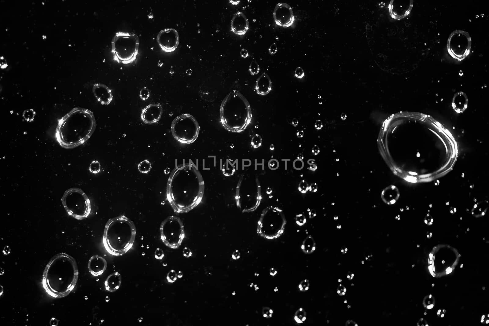 Raindrops by bkenney5@gmail.com
