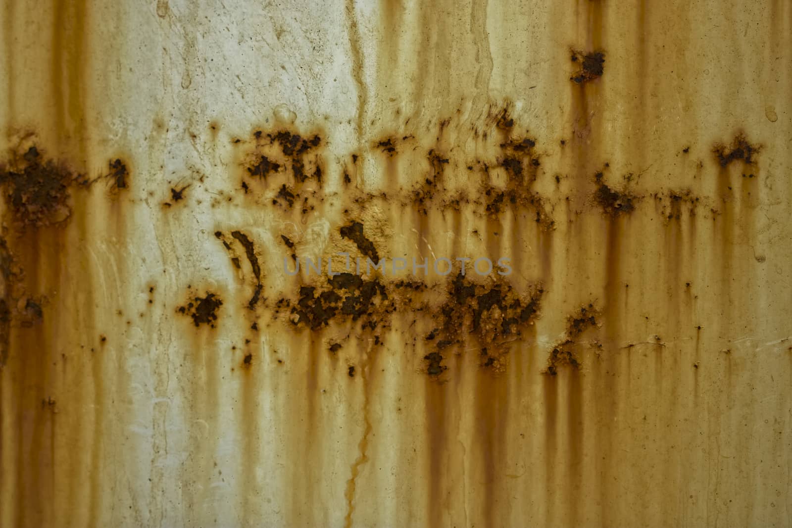 Rust on the side of a dumpster.