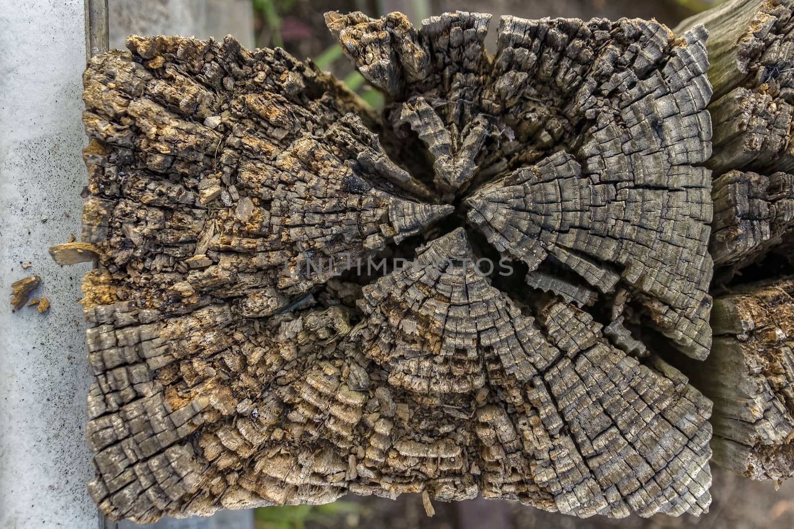 The top of worn, wooden post.
