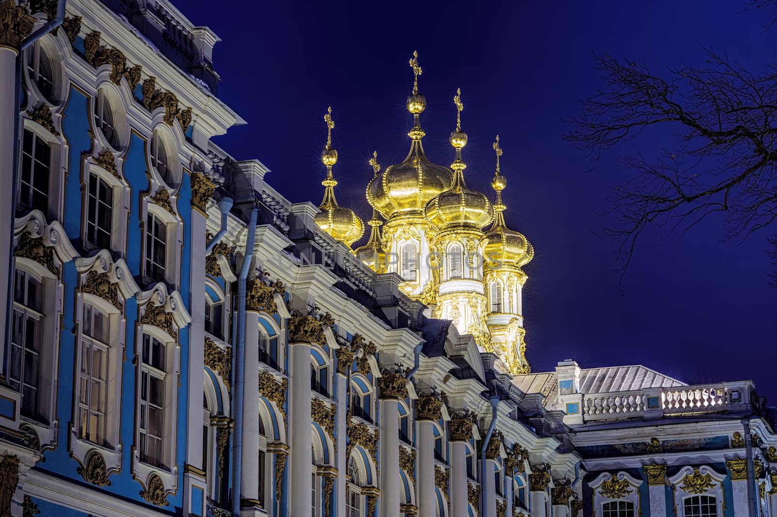 Catherine Palace in Pushkin night view with golden domes illuminated