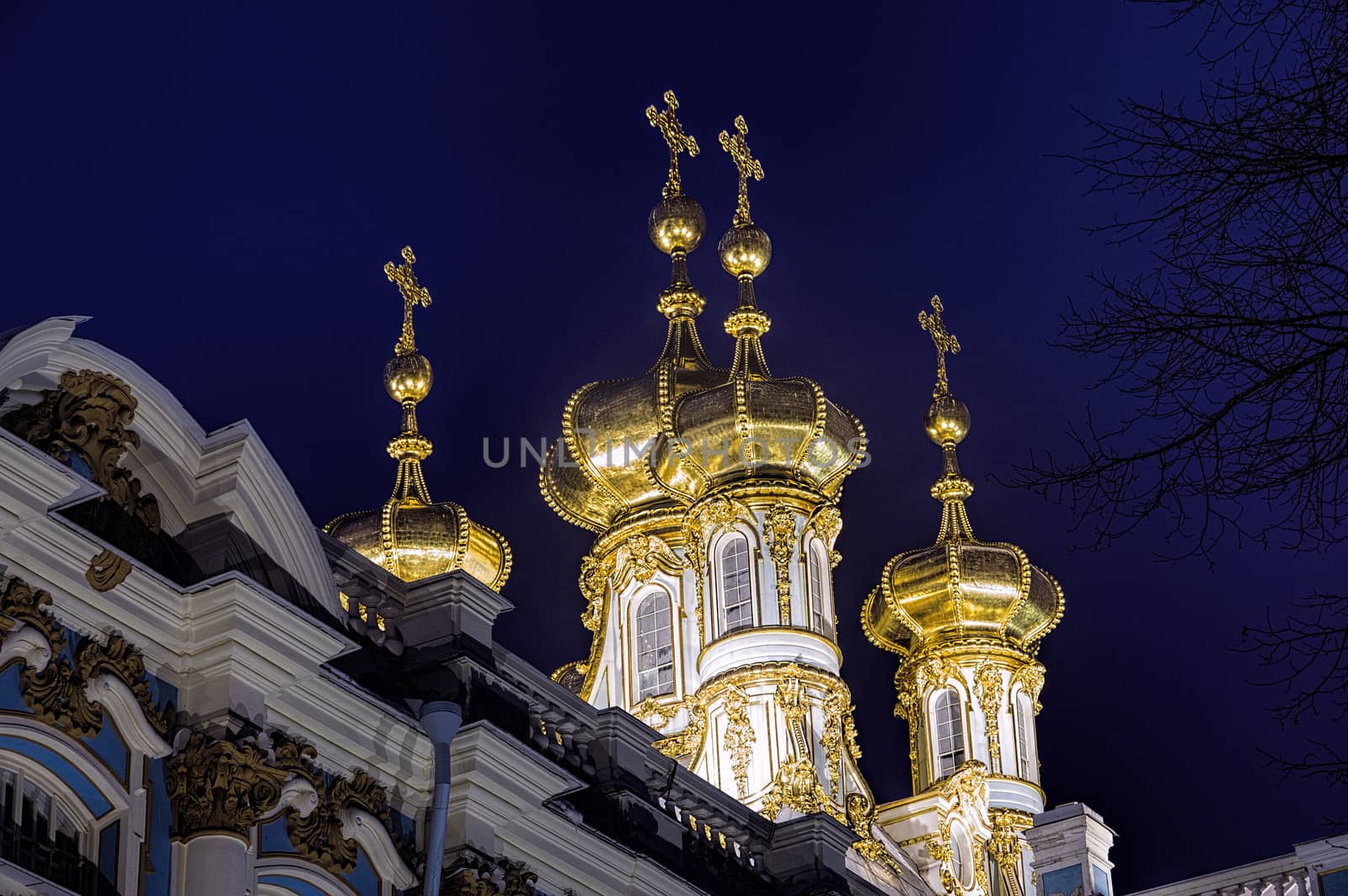 Catherine Palace in Pushkin by vizland