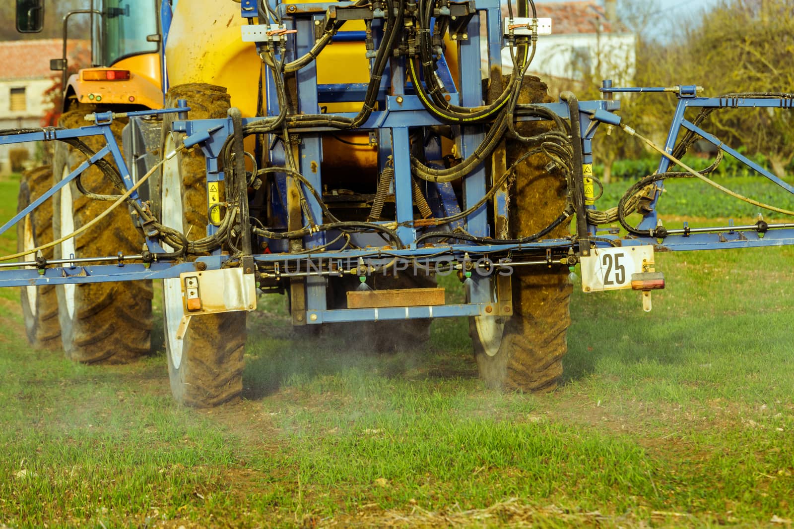 Tractor spraying wheat field with sprayer