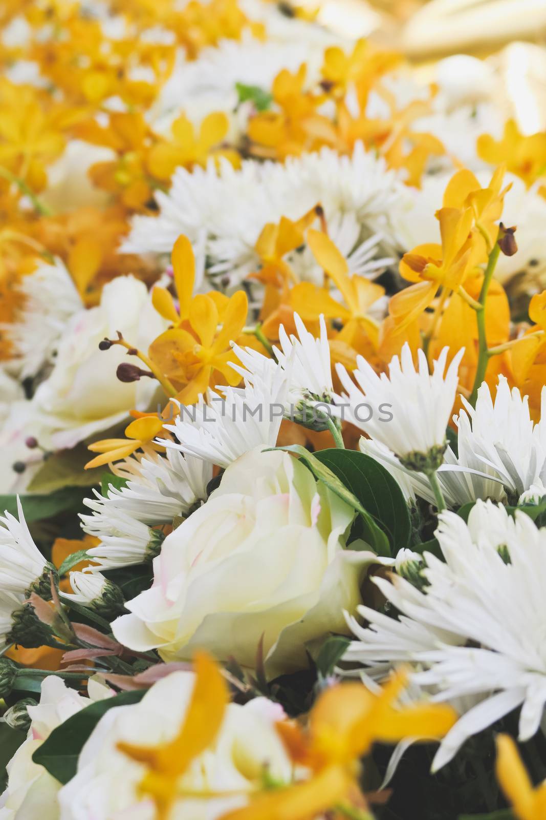floral bouquet background