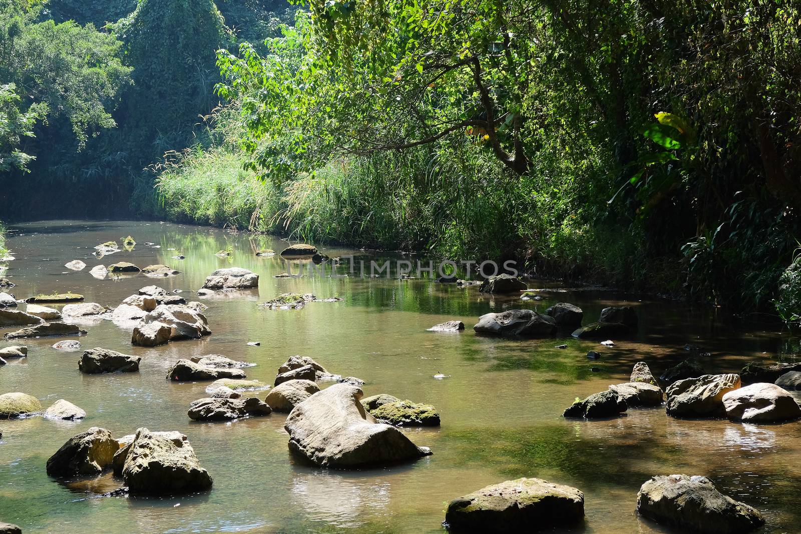 Stream in the National Park in Chiang Mai Thailand. Water, streams, waterfalls.
