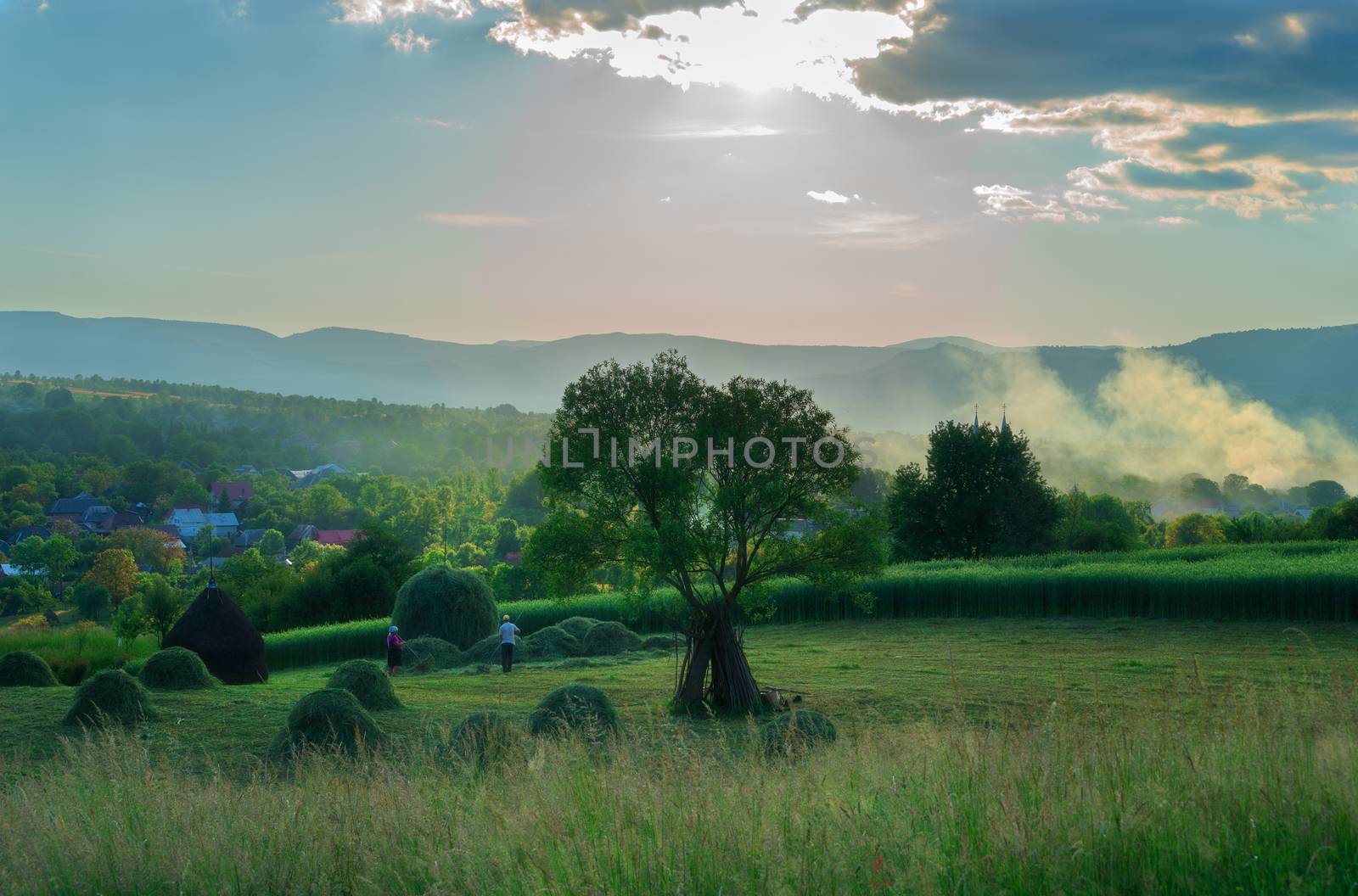 Farm Scene in Breb Maramures Romania by adonis_abril