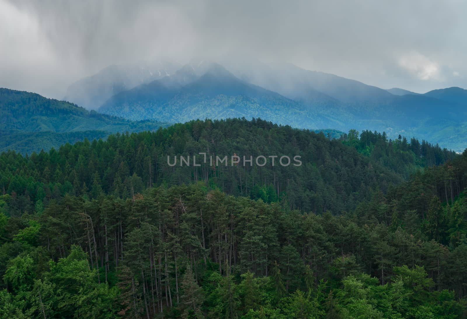 View of the Carpathian from Rasnov by adonis_abril