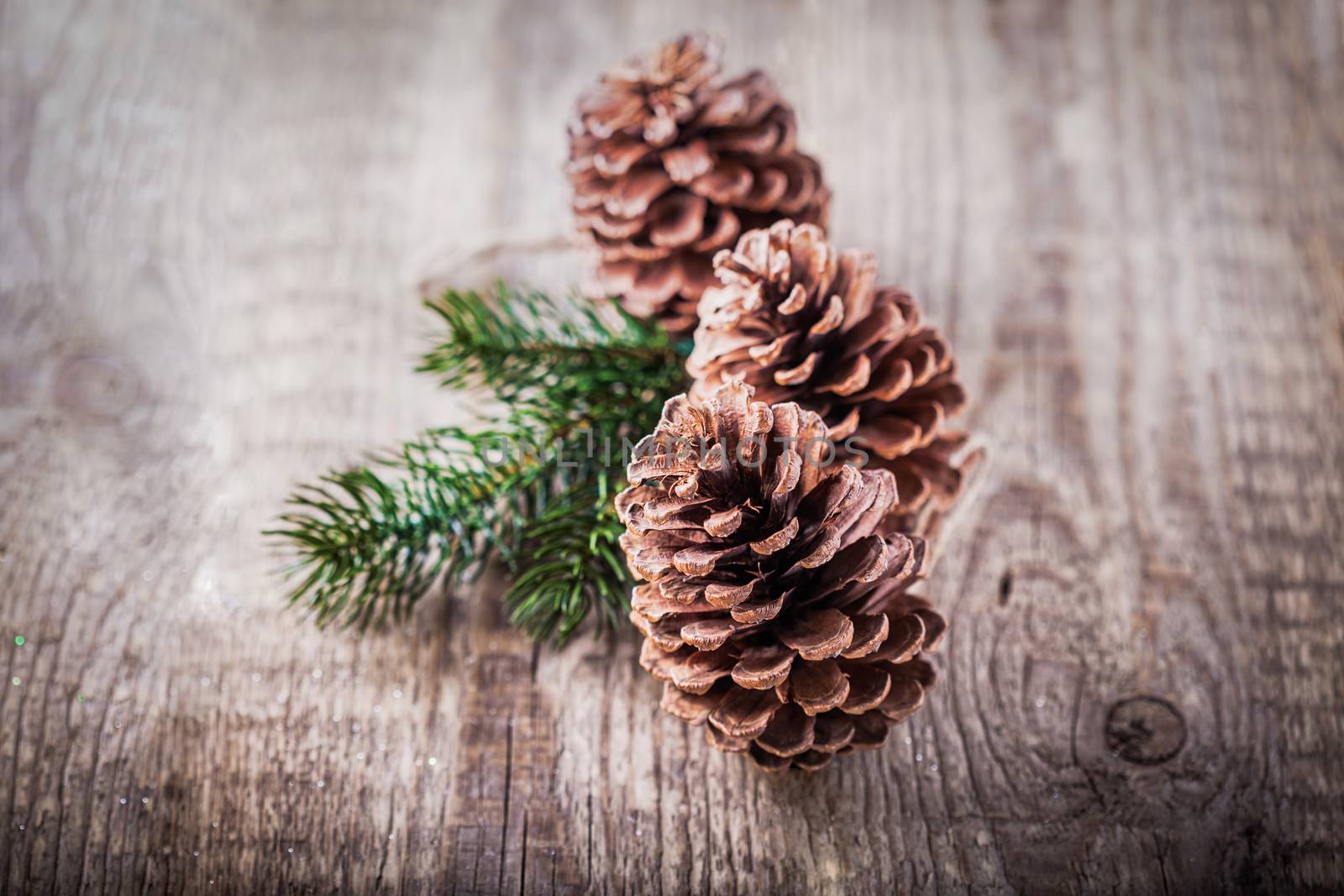 Natural wooden background with pine cones  and branch