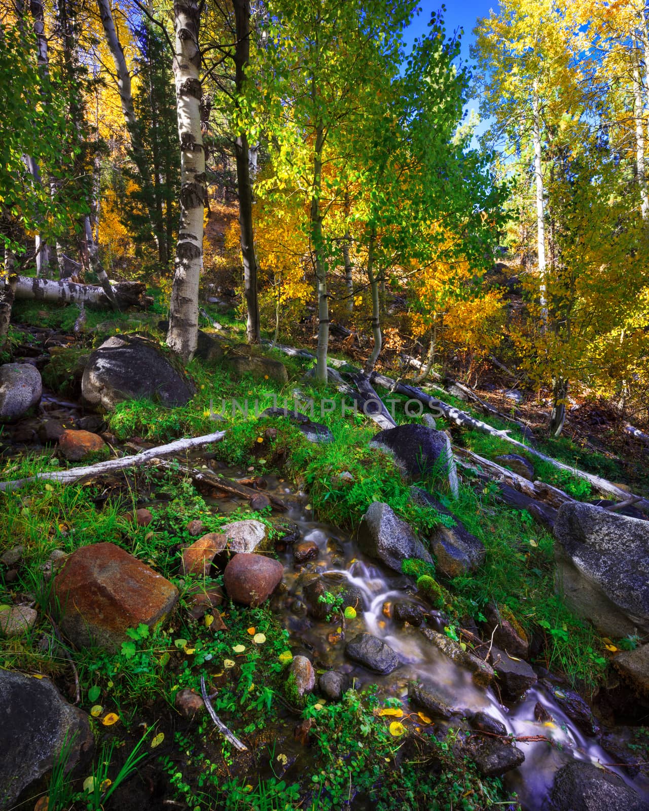 Hope Valley in the Fall by adonis_abril