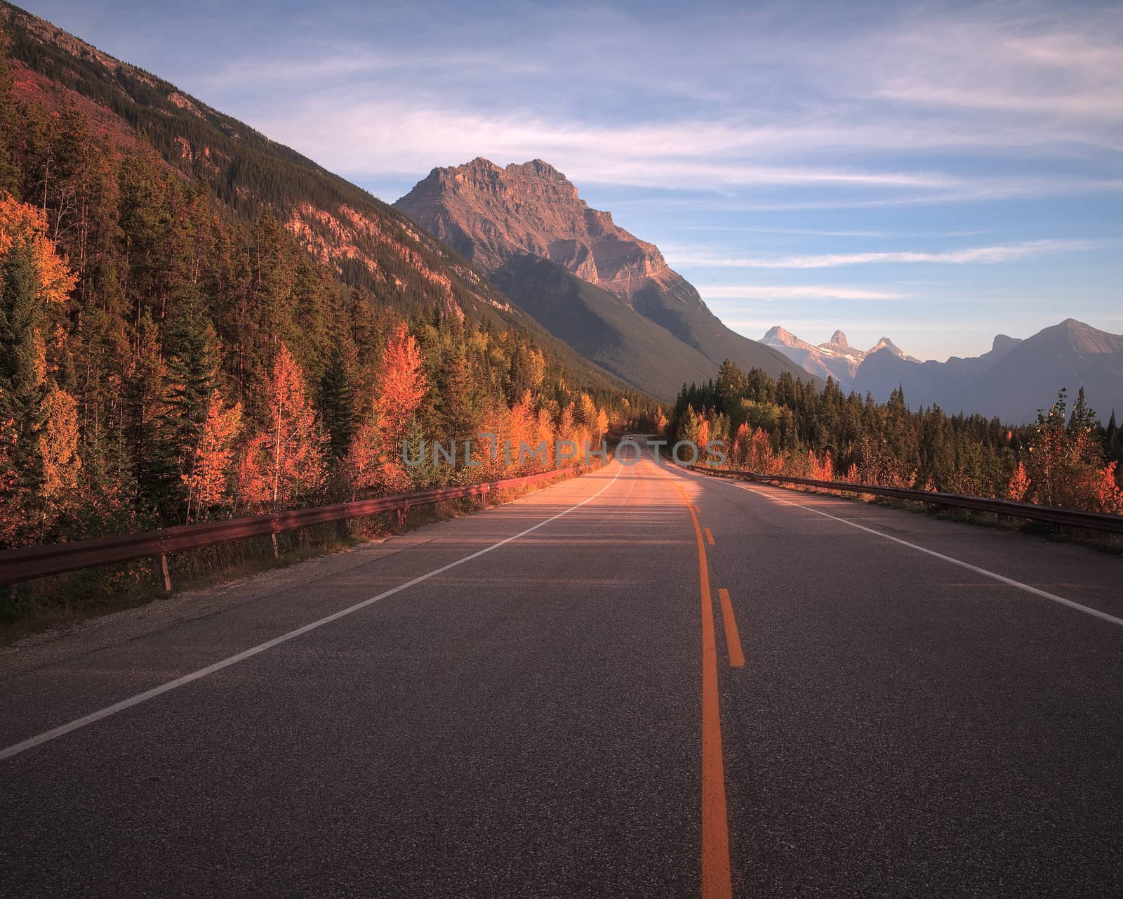 Icefields Parkway road by adonis_abril