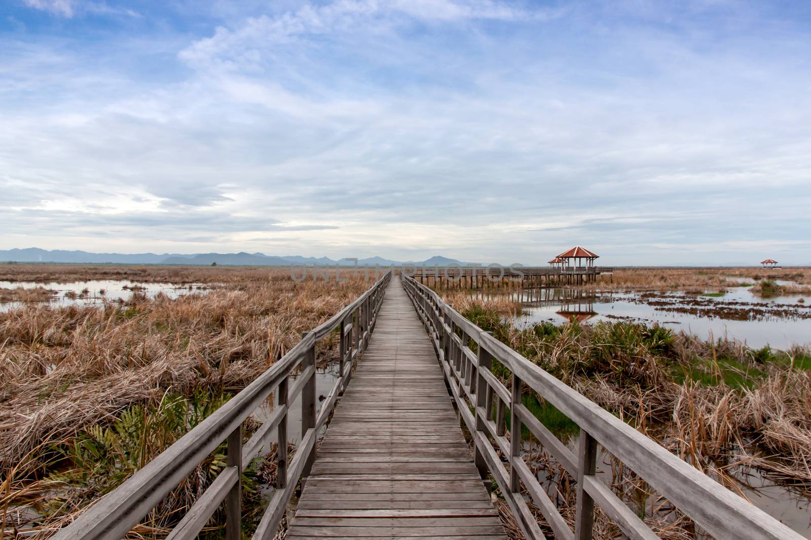 wooden bridge stretches across the dry grasslands and the flooding at Khao Sam Roi Yot National Park, Thailand