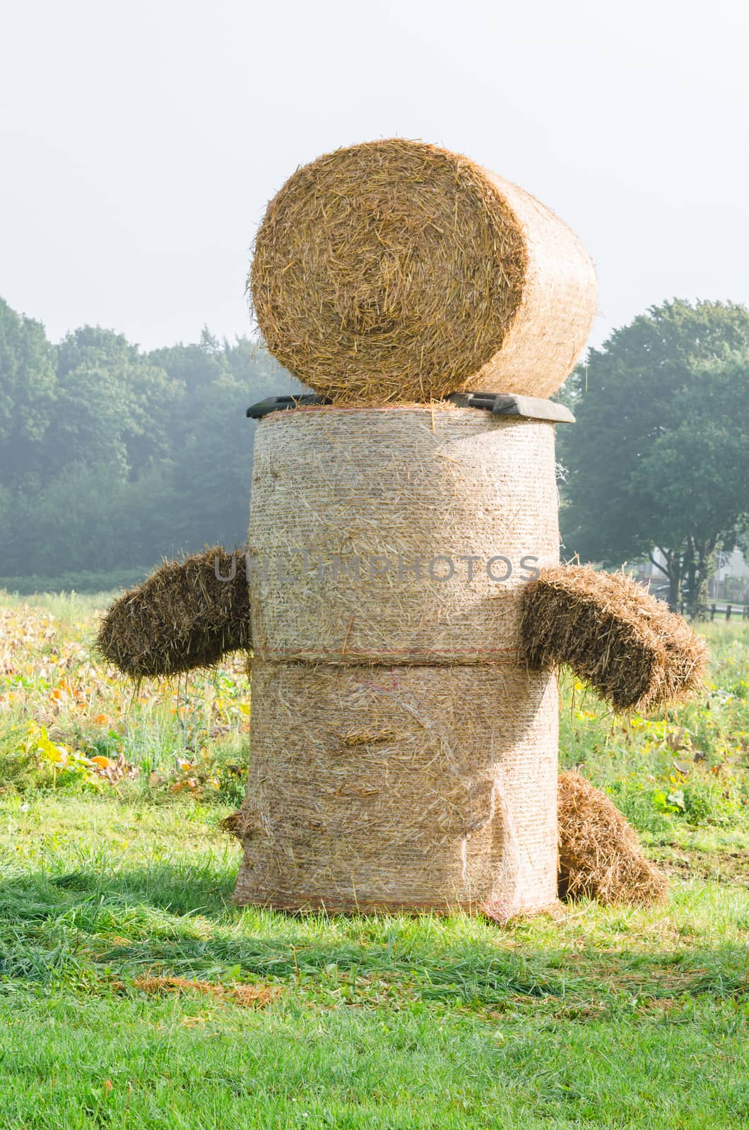 Hay bale figure, in the countryside.