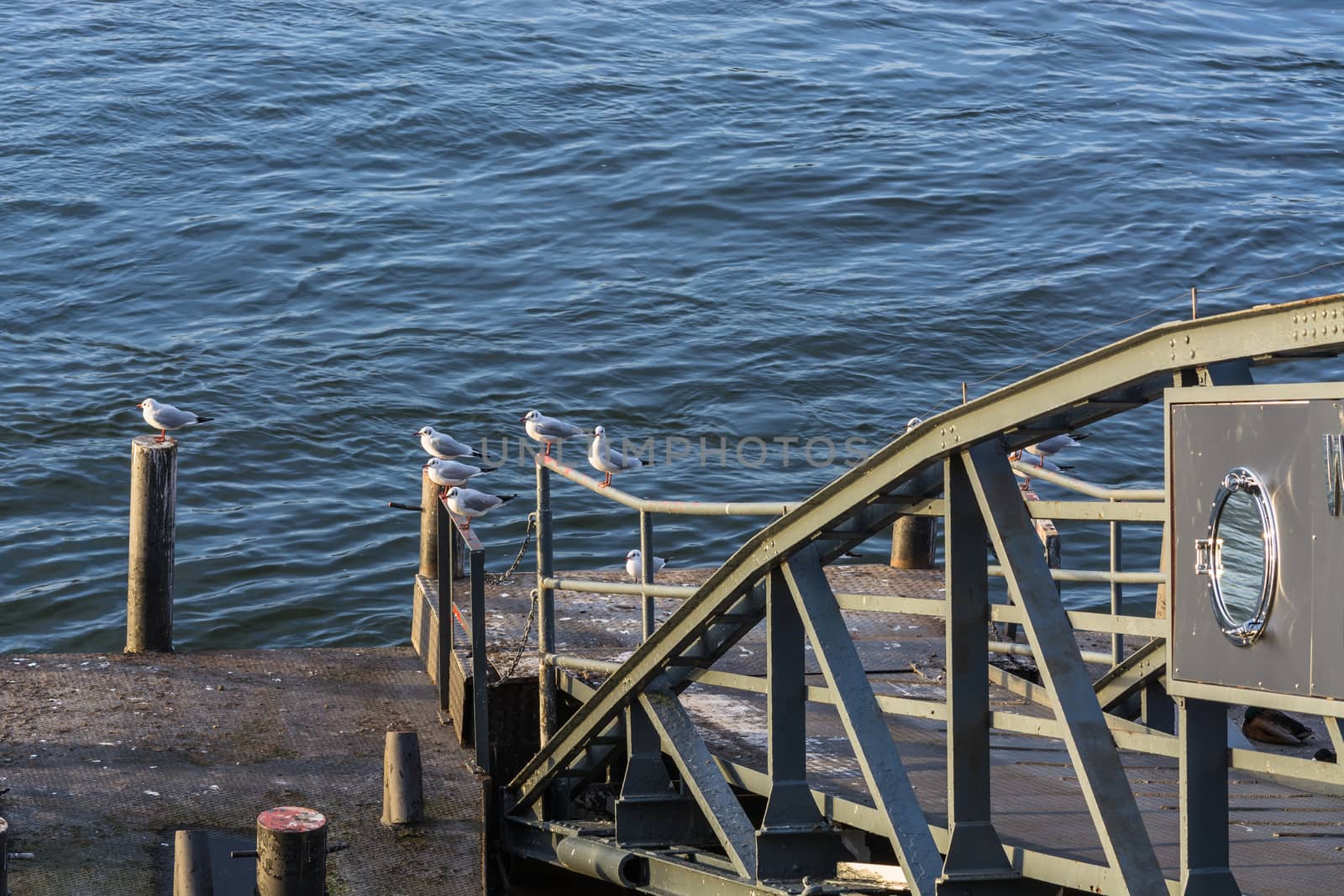 Boat landing stage on the Rhine in Duesseldorf, Germany.