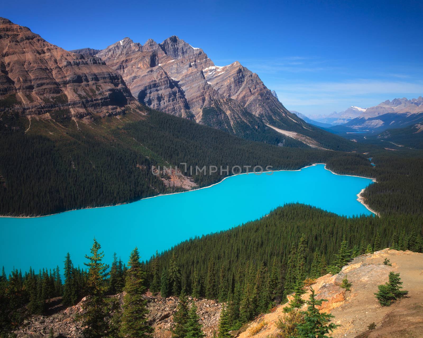 Peyto is a glaciated lake in Banff Alberta Canada. It gets it's color from the sediments of the glacier melt.