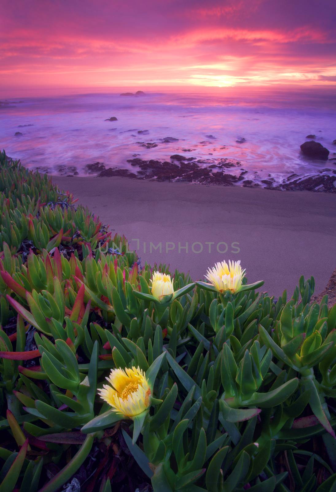 The Pacific Coast is a stretch of coastal highway in Calfornia.