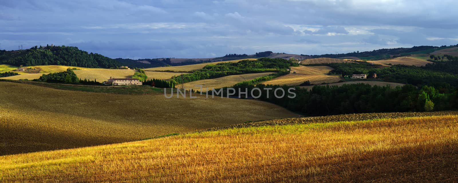 Tuscany Field Panorama by adonis_abril