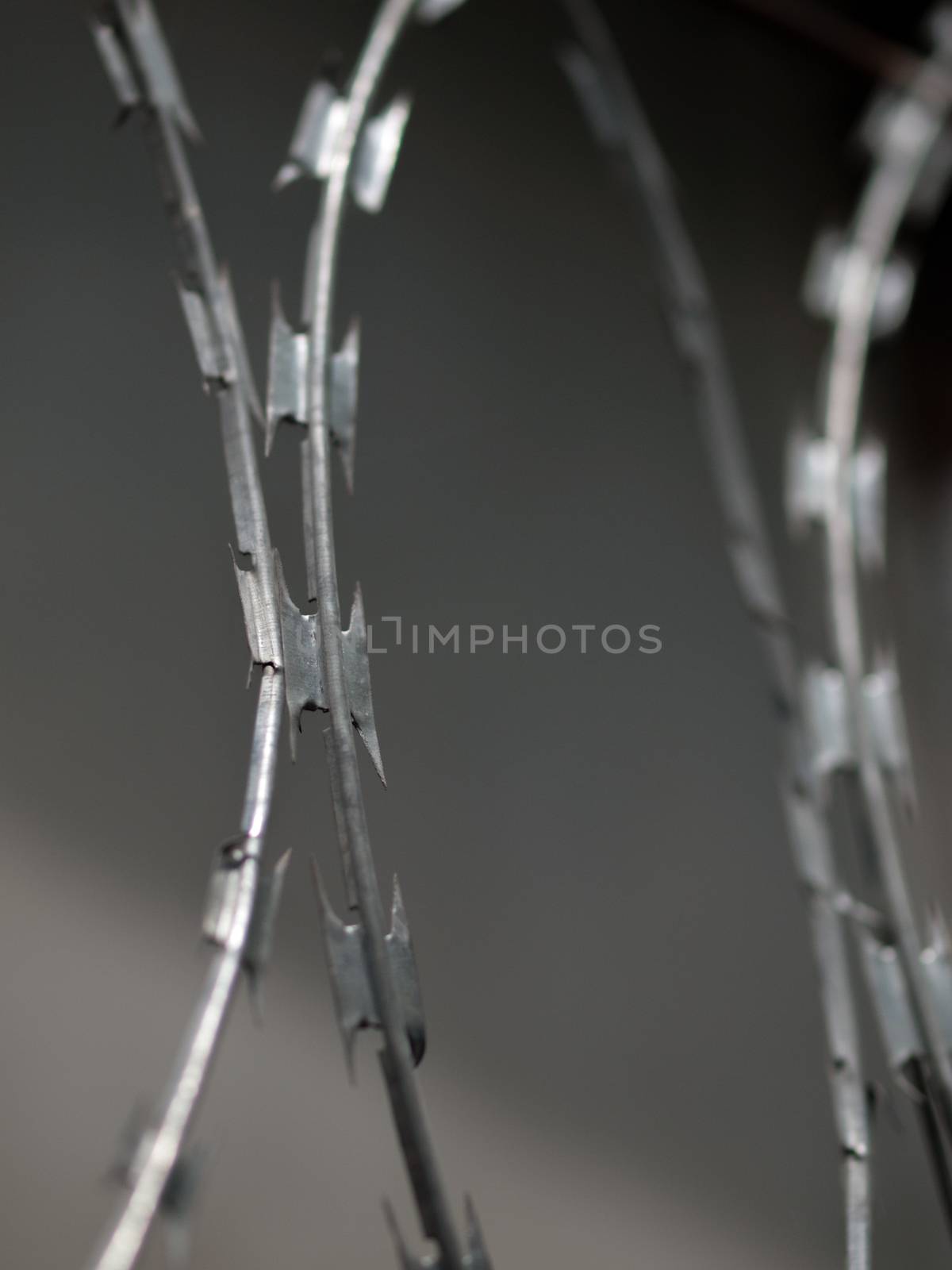 COLOR PHOTO OF RAZOR WIRE