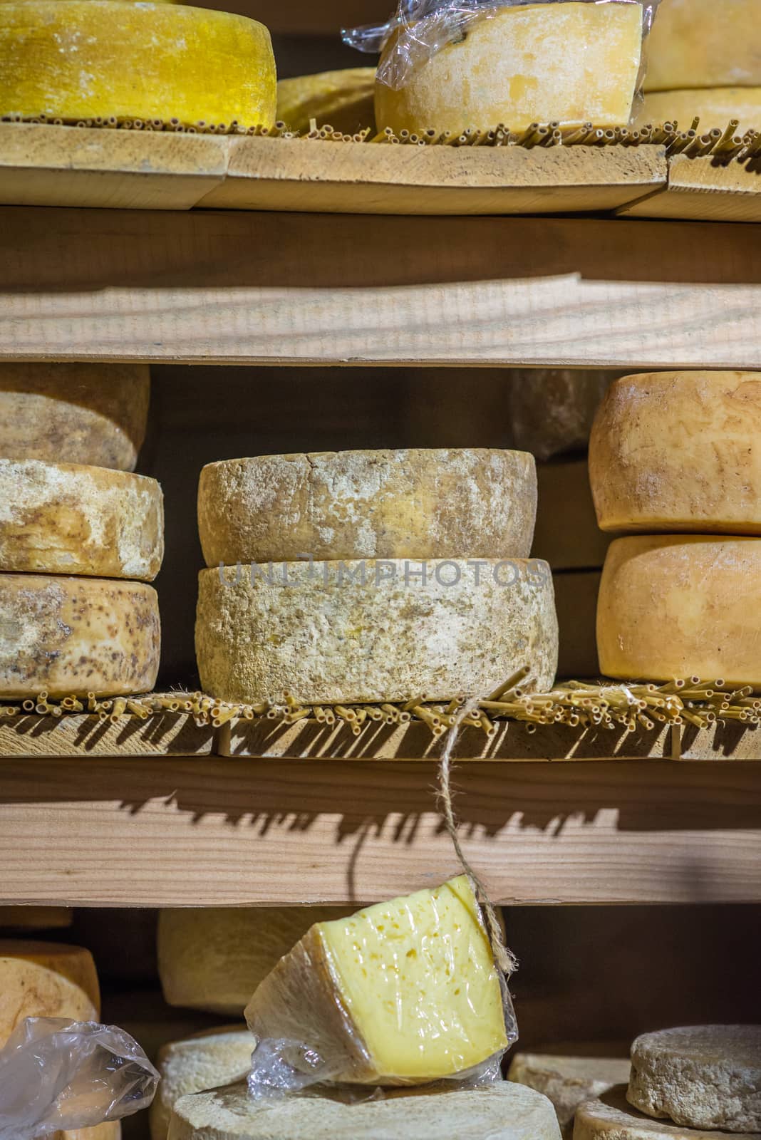 round pieces of cheese on a wooden counter