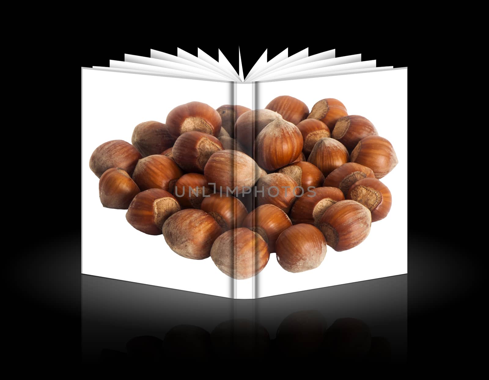 a book of hazelnuts over a black background