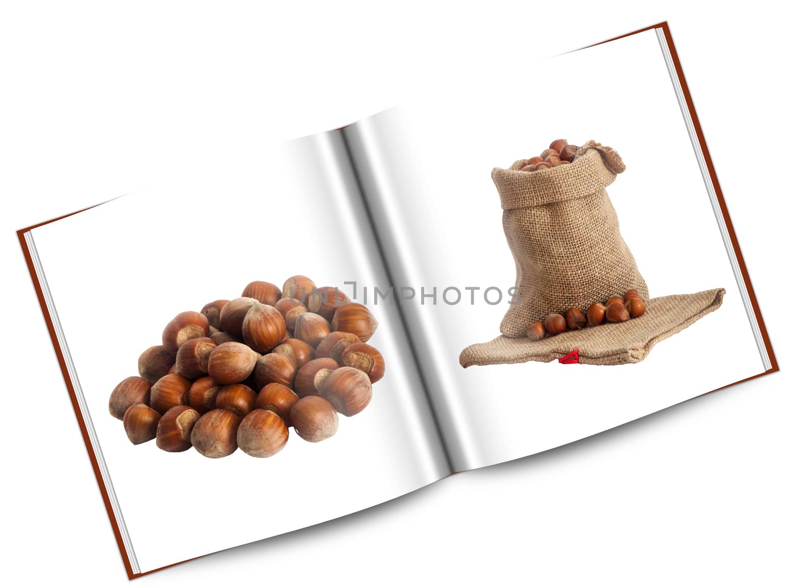 book of  hazelnuts placed over a white background